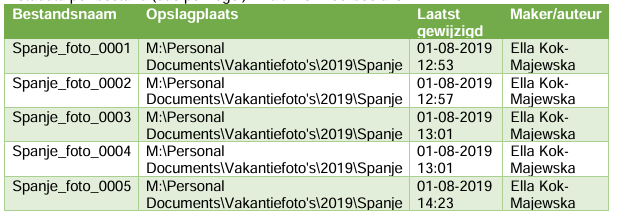voorbeeld van een excelbestand met kolommen met metadata